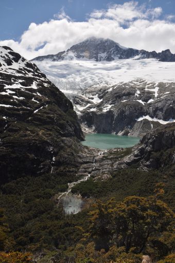 Melt-water from the glacier has been commandeered on it's way to the sea. The arrival of these beavers seems quite recent, and this green patch of forest will probably soon be turning brown.